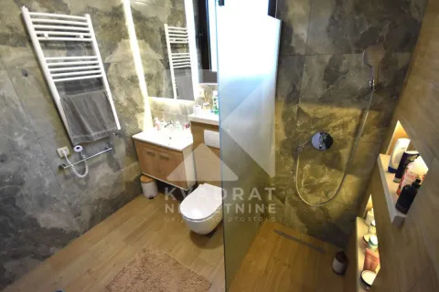 A modern bathroom equipped with a walk-in shower, washbasin, and toilet. - image 17