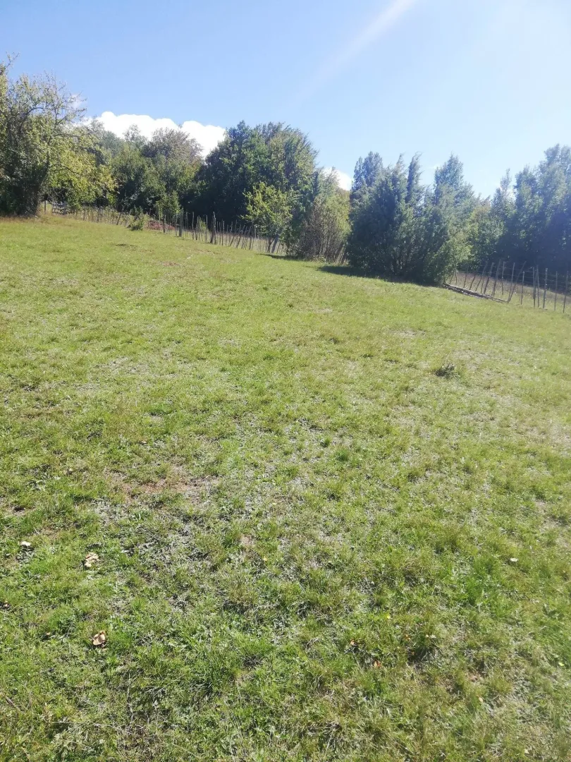 Zeleni plac okružen drvećem i ogradom.