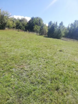 Zeleni plac okružen drvećem i ogradom. - image 4