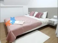 Izdavanje, stan, 45m², Stari Grad, Beograd - image 4