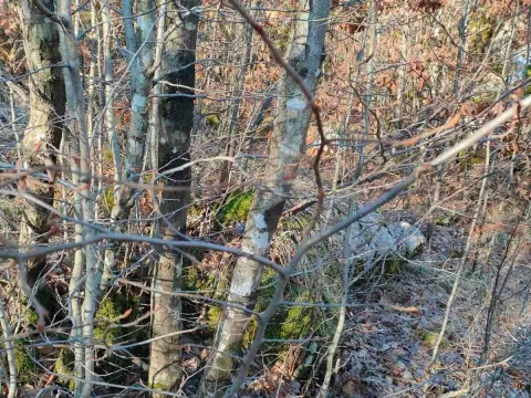 Prodaja, plac, 20937m², Cetinje, Crna Gora - image 6