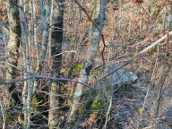 Prodaja, plac, 20937m², Cetinje, Crna Gora - image 6