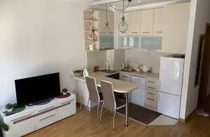 Rent, studio apartment, 30m², City Kvart, Podgorica - image 3