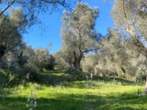 Prodaja, plac, 5500m², Ulcinj, Crna Gora