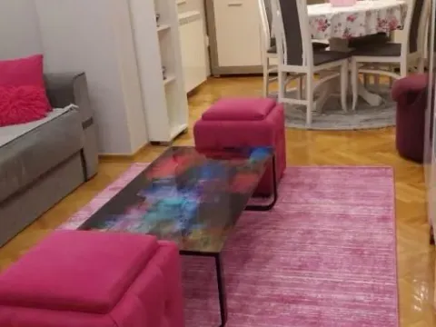 Rent, two bedroom apartment, 55m², Betanija, Novi Sad Sve Podlokacije - image 14