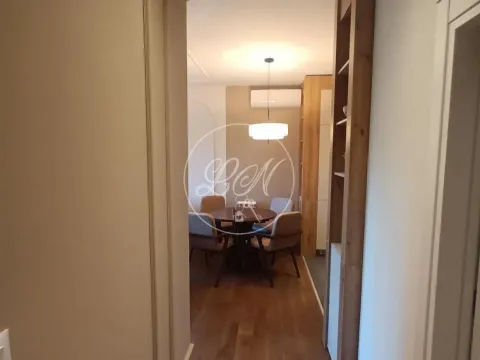 Izdavanje, dvosoban stan, 50m², Dušanovac, Voždovac Sve Podlokacije - image 4