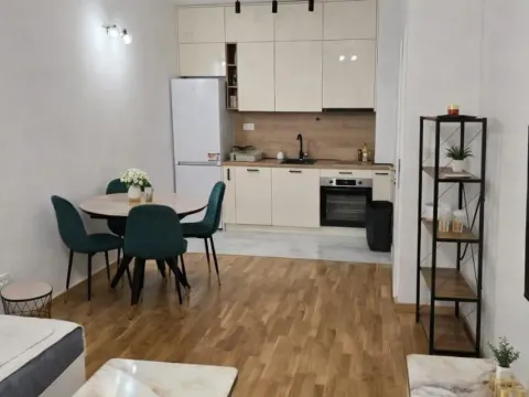 Rent, one bedroom apartment, 45m², Zagorič, Podgorica - image 6