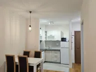 Izdavanje, jednosoban stan, 40m², Central Point, Podgorica - image 2