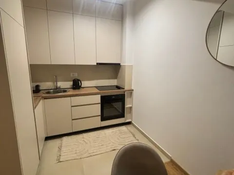 Izdavanje, jednosoban stan, 45m², Zabjelo, Podgorica - image 8