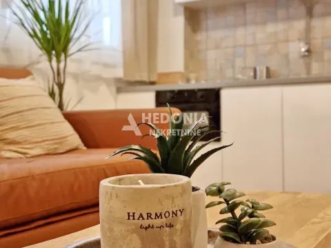 Izdavanje, jednosoban stan, 30m², Profesorska Kolonija, Palilula Sve Podlokacije - image 2