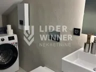 Rent, house, 48m², Crveni Krst, Beograd - image 14