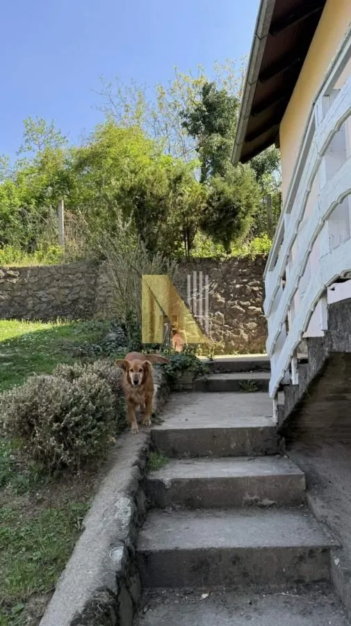 Prodaja, kuća, 195m², Sremska Kamenica, Petrovaradin