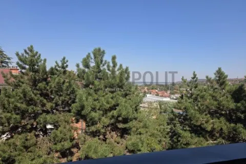 View from the terrace towards the greenery and surrounding neighborhood. - image 19