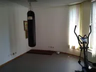 Izdavanje, kuća, 390m², Savski Venac, Beograd - image 10