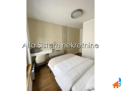 Izdavanje, dvosoban stan, 43m², Vračar Centar, Vračar Sve Podlokacije - image 11