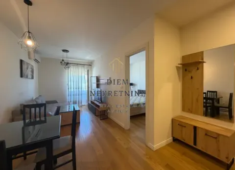 Rent, one bedroom apartment, 43m², Central Point, Podgorica - image 4