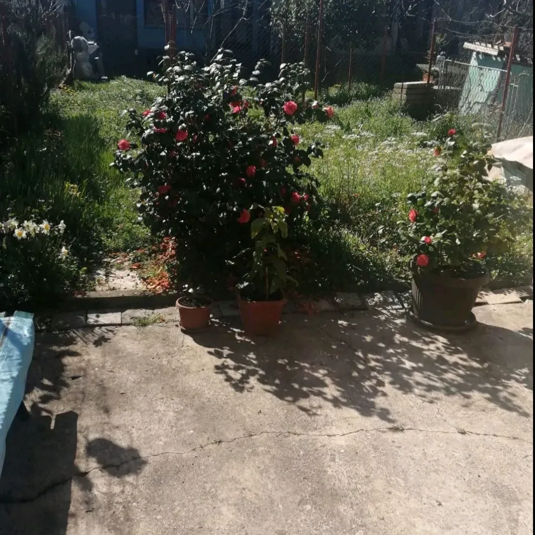 Prodaja, kuća, 162m², Podgorica, Crna Gora