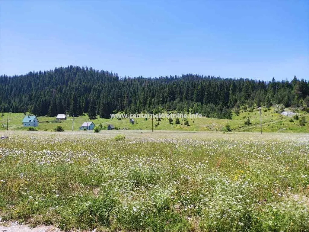 Prodaja, plac, 18883m², Žabljak, Crna Gora
