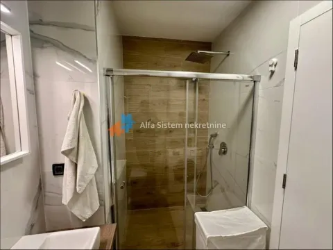 Izdavanje, dvosoban stan, 54m², Dušanovac, Voždovac Sve Podlokacije - image 10