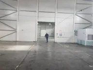 Izdavanje, poslovni prostor, 5000m², Dobanovci, Surčin - image 3