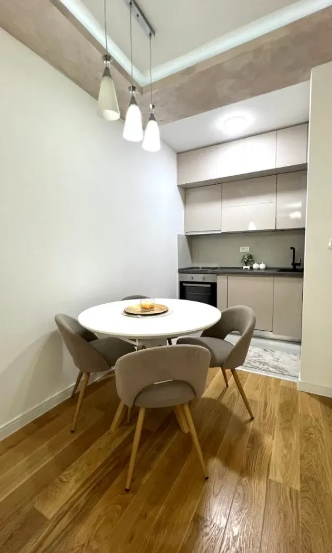 Izdavanje, jednosoban stan, 47m², Central Point, Podgorica