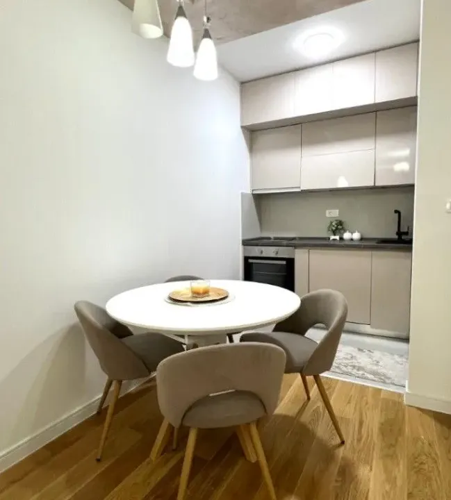 Izdavanje, jednosoban stan, 47m², Central Point, Podgorica