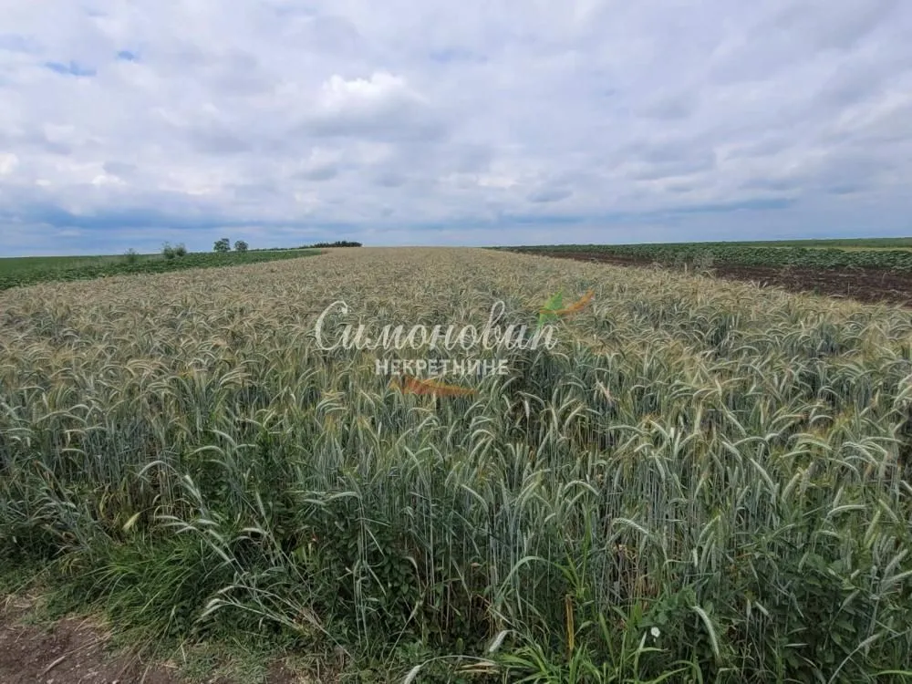 Prodaja, plac, 2200m², Zemun Ugrinovci, Zemun Sve Podlokacije
