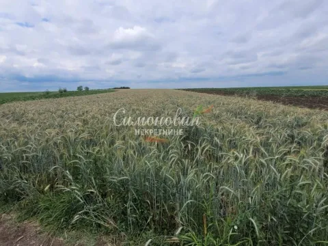 Prodaja, plac, 2200m², Zemun Ugrinovci, Zemun Sve Podlokacije - image 10