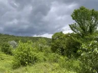 Sale, land lot, 523m², Pažići, Danilovgrad - image 1