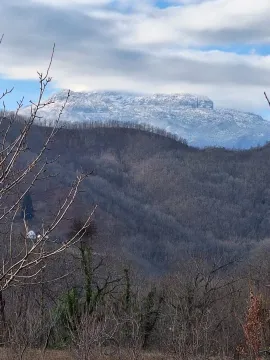 Prodaja, plac, 15508m², Kolašin, Crna Gora - image 3