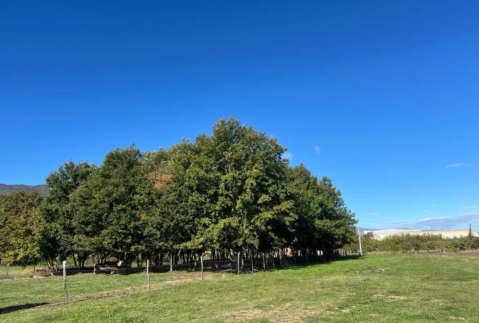 Prodaja, plac, 1258m², Ćurilac, Danilovgrad