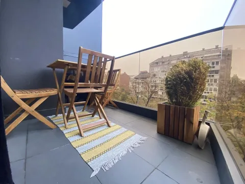 Rent, two bedroom apartment, 42m², Južni Bulevar, Vračar Sve Podlokacije - image 11