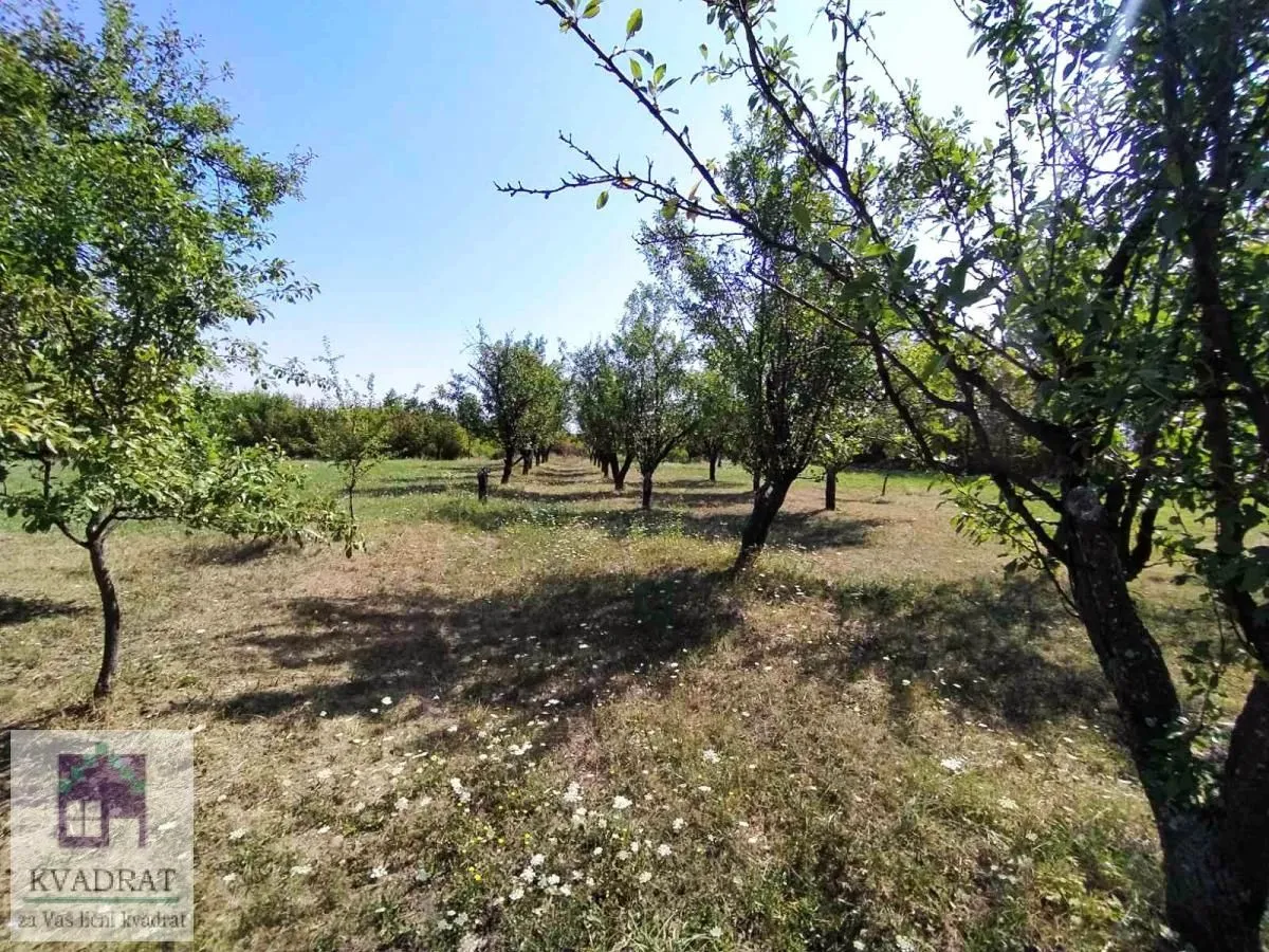 Prodaja, plac, 5900m², Konatice, Obrenovac