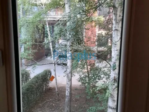 Prodaja, dvosoban stan, 46m², Vračar Centar, Vračar Sve Podlokacije - image 15