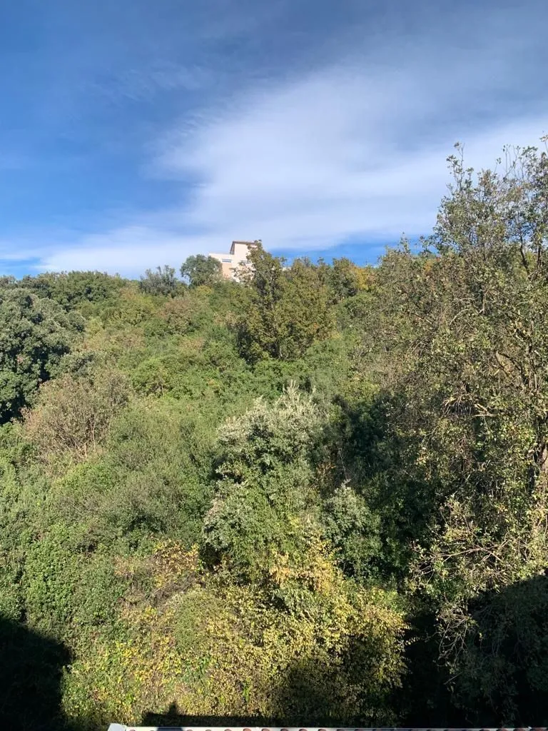 Prodaja, plac, 1594m², Utjeha, Bar