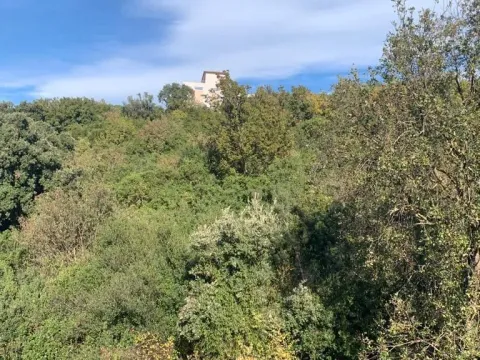 Prodaja, plac, 1594m², Utjeha, Bar - image 21