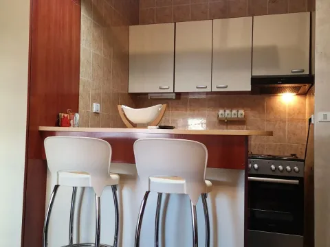 Izdavanje, garsonjera, 25m², Stari Aerodrom, Podgorica - image 5