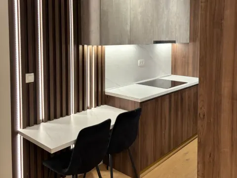 Rent, one bedroom apartment, 68m², Donja Lastva, Tivat - image 11