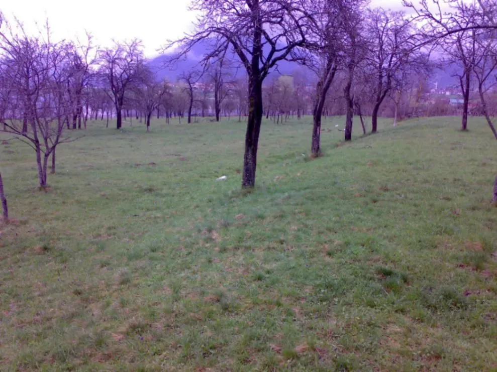 Prodaja, plac, 1750m², Vojno Selo, Plav