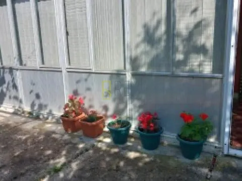 Izdavanje, kuća, 120m², Kunje, Bar - image 2