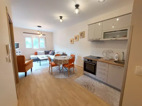 Rent, one bedroom apartment, 43m², Budva, Crna Gora - image 2