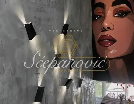 Rent, house, 295m², Sremski Karlovci, Novi Sad - image 17