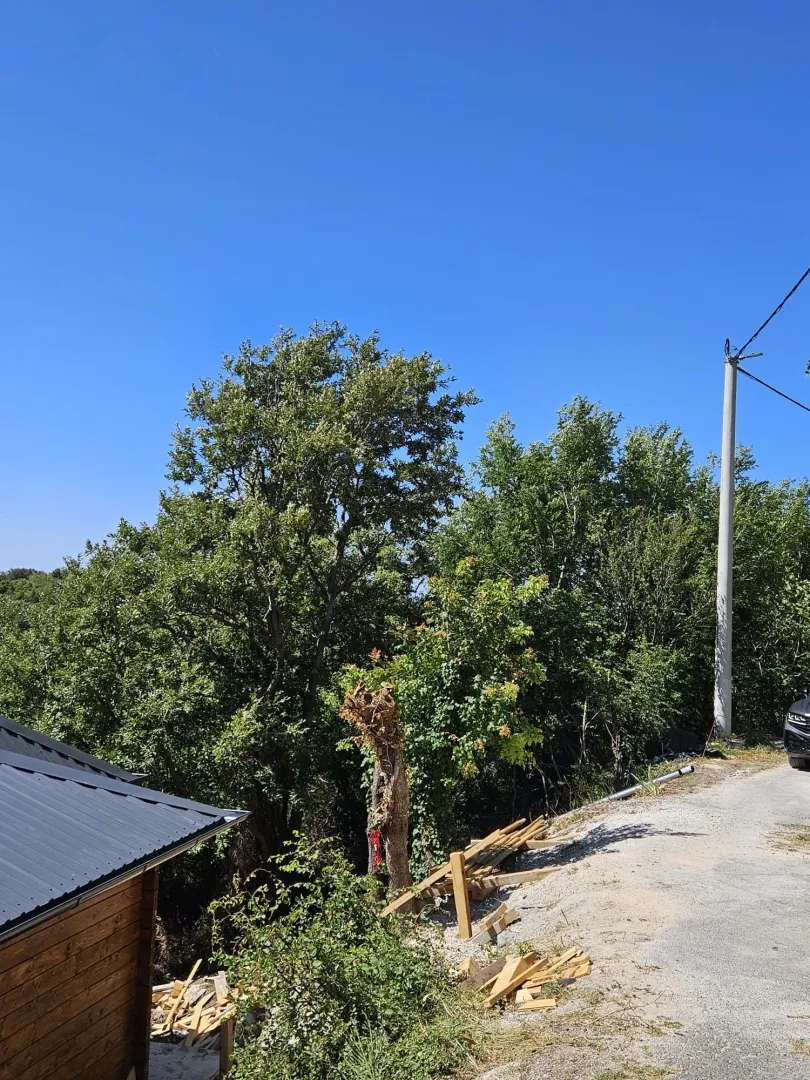 Prodaja, plac, 938m², Petrovac, Budva