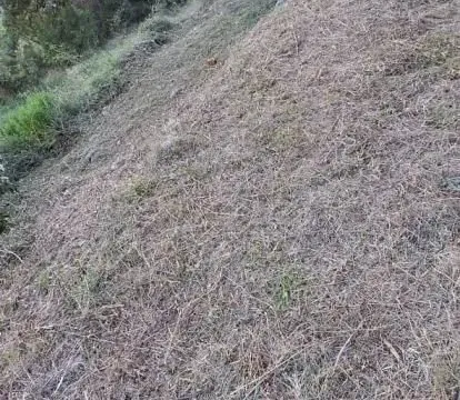 Prodaja, plac, 1700m², Kavač, Kotor - image 20