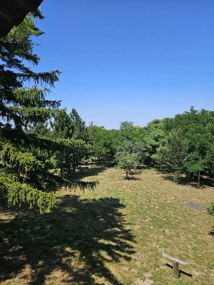 Prodaja, plac, 5000m², Stari Slankamen, Inđija