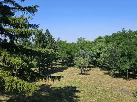 Sale, land lot, 5000m², Stari Slankamen, Inđija - image 15