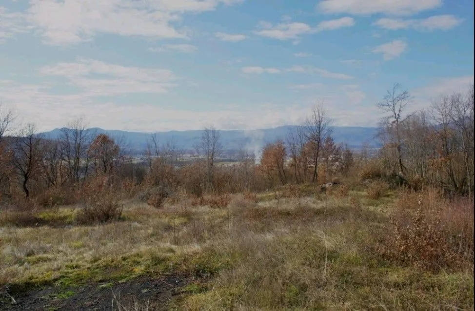 Prodaja, plac, 9500m², Piperi, Podgorica