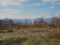 Sale, land lot, 9500m², Piperi, Podgorica - image 1