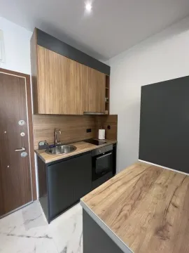Rent, one bedroom apartment, 40m², Bečići, Budva - image 9