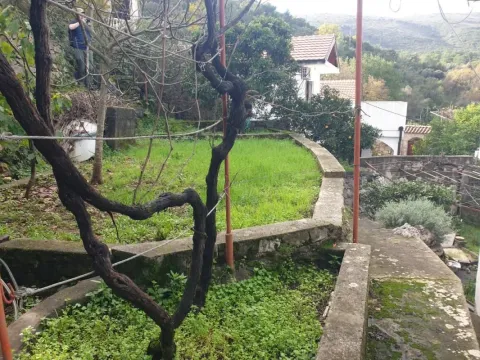 Zeleno dvorište sa stablima i okolnim kućama. - image 8